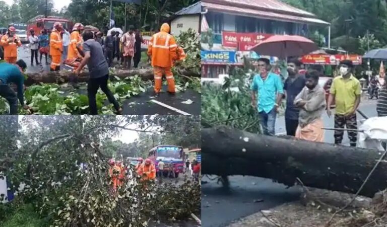 പെരുമ്പാവൂരില്‍ സ്‌ട്രോംഗ് റൂമിലെ സി.സി.ടി.വി ക്യാമറകള്‍ മിന്നലേറ്റ് കത്തിനശിച്ചു,കോതമംഗലത്ത് മരങ്ങള്‍ കടപുഴകി,എറണാകുളത്തിന്റെ കിഴക്കന്‍ മേഖലകളില്‍ കാറ്റിലും മഴയിലും കനത്ത നാശം