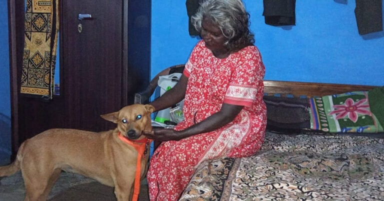 ഏറ്റെടുത്ത നായയെ പോലീസ് തിരികെ നൽകി ; കുവി ഇനി പളനിയമ്മയ്ക്ക് സ്വന്തം