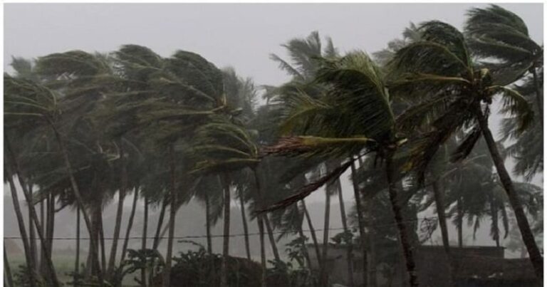 അടുത്ത 5ദിവസം വ്യാപകമായ മഴയ്ക്ക് സാധ്യത;വടക്ക് കനക്കും, 9 ജില്ലകളിൽ ജാഗ്രത നിർദ്ദേശം