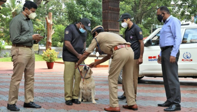 കോടതി അഭിനന്ദിച്ച പോലീസ് നായ ജെറിക്ക് സംസ്ഥാന പോലീസ് മേധാവിയുടെ കമന്‍റേഷന്‍ മെഡല്‍ സമ്മാനിച്ചു