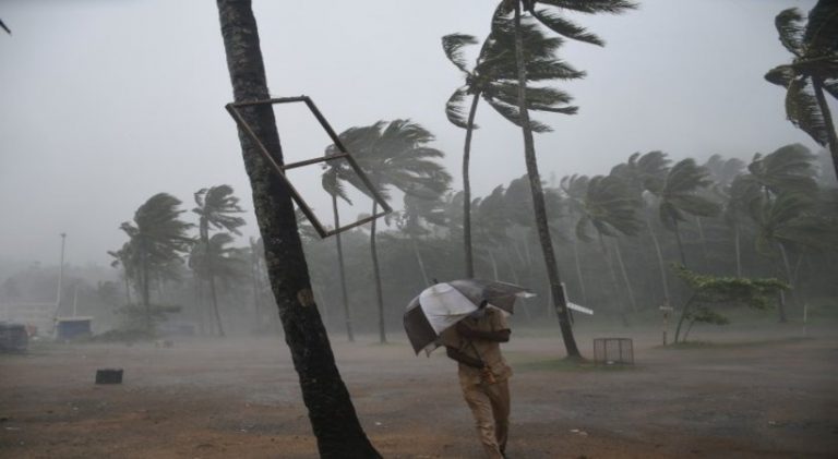 ഒറ്റപ്പെട്ട ശക്തമായ മഴ തുടരും; നാളെ ഏഴ് ജില്ലകളിൽ യെല്ലോ അല‍ര്‍ട്ട്