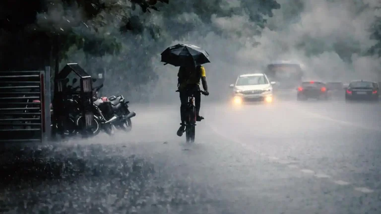 ഇടിമിന്നലോടെയുള്ള മഴക്ക് സാധ്യത,നാല് ദിവസം മഴ തുട‍ർന്നേക്കും; ജില്ലകളിൽ യെല്ലോ അലർട്ടില്ല