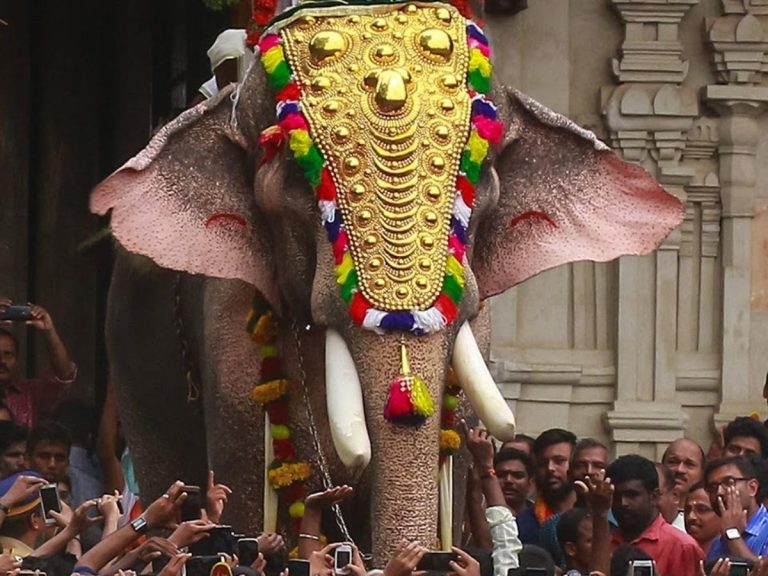 തെച്ചിക്കോട്ട്കാവ് രാമചന്ദ്രനെ എങ്ങനെ എഴുന്നള്ളിക്കും? മതം രണ്ടാമത്, ജനസുരക്ഷയാണ് പ്രധാനം: ഹൈക്കോടതി