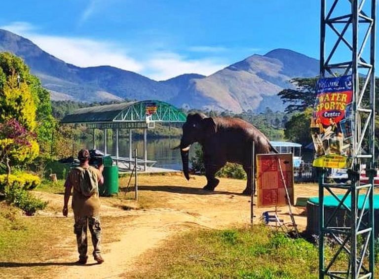 കലിതുള്ളി ചക്കക്കൊമ്പന്‍; ചിന്നക്കനാലിൽ വീടു തകർത്തു