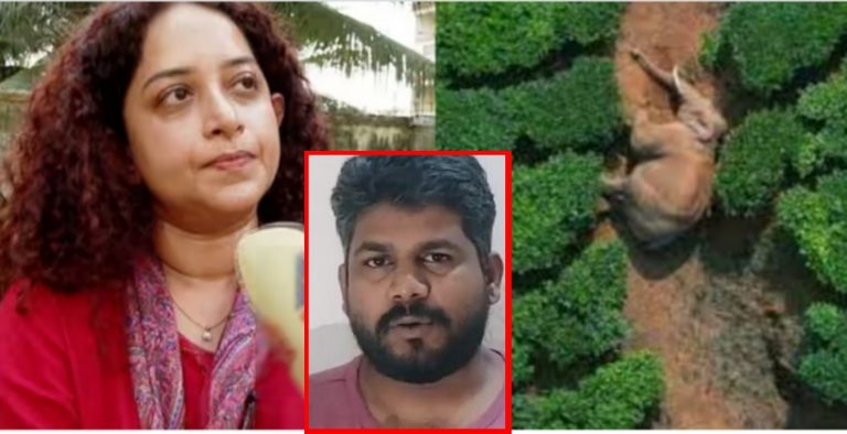 അരിക്കൊമ്പന്റെ പേരിൽ പണം പിരിച്ചിട്ടില്ല, തന്നെയും മീരാജാസ്മിനെയും അപകീർത്തിപ്പെടുത്താൻ ശ്രമം: സാറാ റോബിൻ