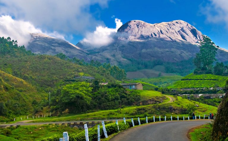 ഉടമസ്ഥാവകാശം തെളിയിക്കാനായില്ല; തച്ചങ്കരി എസ്റ്റേറ്റിൻ്റെ 82 സെൻ്റ് ഭൂമി സർക്കാർ തിരിച്ചുപിടിച്ചു