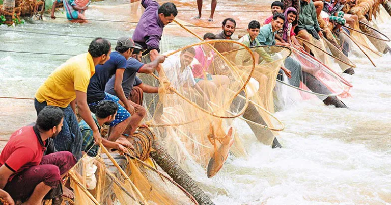 പുതുമഴയിൽ ഊത്തപിടിയ്ക്കാന്‍ ഇറങ്ങിയാല്‍ ആറുമാസം അകത്തുകിടക്കേണ്ടിവരും;ഉത്തരവ് പുറത്ത്‌