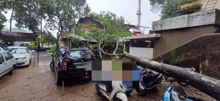 കോട്ടയം ജില്ലയുടെ കിഴക്കൻ  മേഖലയിൽ കനത്ത മഴ; കാറ്റിൽ  മരങ്ങൾ കടപുഴകി വീണ് നാശനഷ്ടം