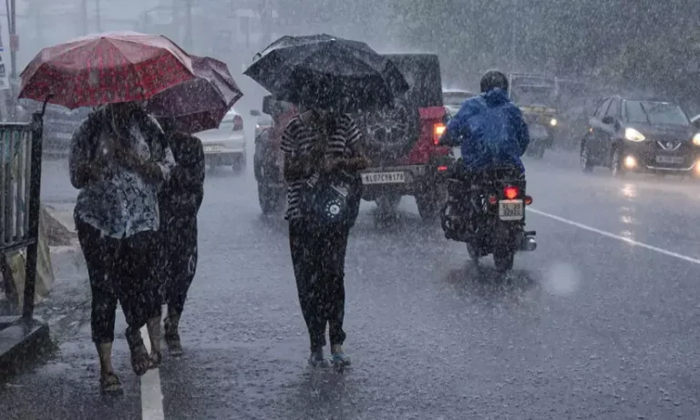 സംസ്ഥാനത്ത്  അതിശക്തമഴയ്ക്ക് സാധ്യത, ഓറഞ്ച് അലർട്ട് കോഴിക്കോടും വയനാടും, 5 ജില്ലകളിൽ യെല്ലോ അലർട്ട്