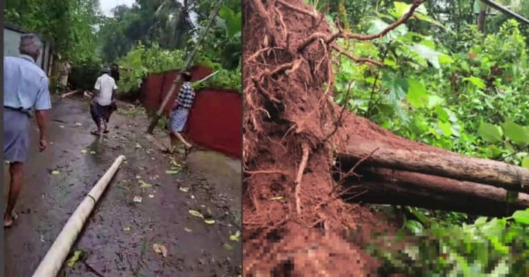 കോഴിക്കോട്  മിന്നല്‍ ചുഴലിക്കാറ്റ്; അഞ്ച് വീടുകള്‍ തകര്‍ന്നു,നിരവധി മരങ്ങള്‍ കടപുഴകി വീണു