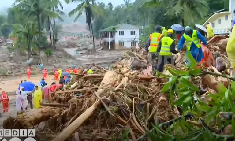 വയനാട് പുനരധിവാസം: മോഡൽ ടൗൺഷിപ്പ് ഭൂമി കണ്ടെത്തിയത് രണ്ടിടങ്ങളില്‍, ഭൂമി ഏറ്റെടുക്കൽ നടപടികൾ തുടങ്ങി