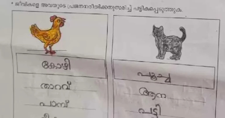 പ്രസവിക്കുന്ന ജീവികള്‍, വൈറലായി രണ്ടാം ക്ലാസുകാരുടെ ഉത്തരക്കടലാസ്, പങ്കുവെച്ച് ടീച്ചര്‍