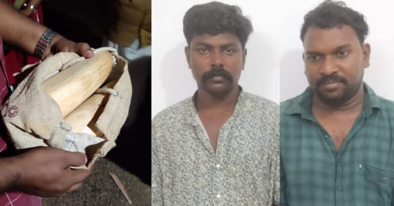ക്ഷേത്രത്തിന് സമീപം ആനക്കൊമ്പുമായെത്തി; രണ്ടുപേര്‍ പിടിയില്‍