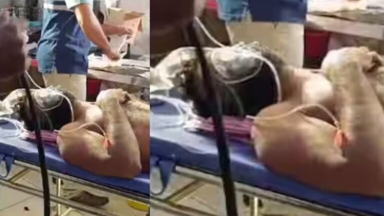 വയനാട്ടില്‍ വീണ്ടും കാട്ടാന ആക്രമണം; നിര്‍മ്മാണ തൊഴിലാളിക്ക് ഗുരുതര പരിക്ക്