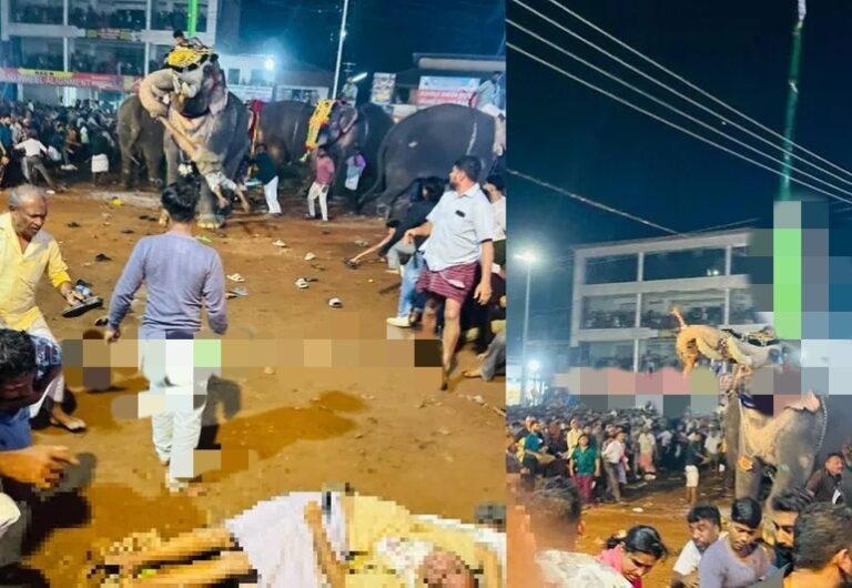 തിരൂരിൽ ആന ഇടഞ്ഞു; 17 പേർക്ക് പരിക്ക്, ഒരാളുടെ നിലഗുരുതരം