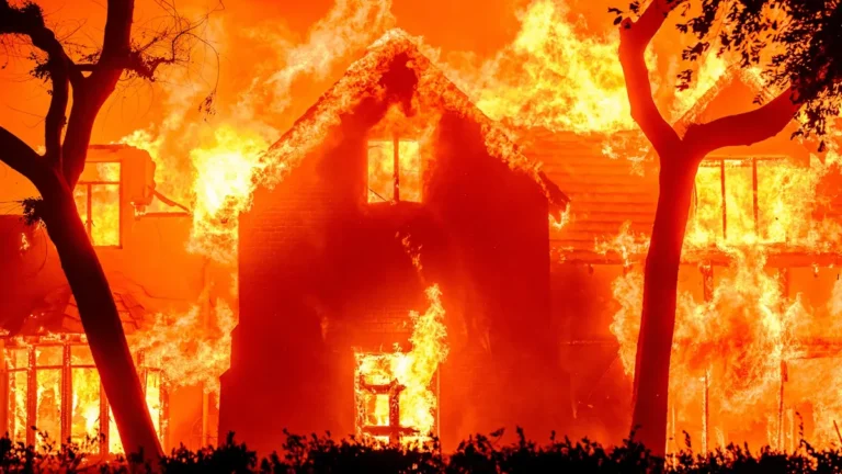 മരിച്ചത് 11 പേര്‍, പന്ത്രണ്ടായിരത്തിലധികം കെട്ടിടങ്ങള്‍ കത്തിനശിച്ചു,പാരിസ് ഹില്‍ട്ടന്റെയും ജയിംസ് വുഡിന്റെയും വീടുകള്‍ പൂര്‍ണമായും ചാരമായി; സ്റ്റീവന്‍ സ്പില്‍ബര്‍ഗ്, ബെന്‍ അഫ്‌ലേക്ക് അടക്കമുള്ള പ്രമുഖര്‍ വീടൊഴിഞ്ഞു