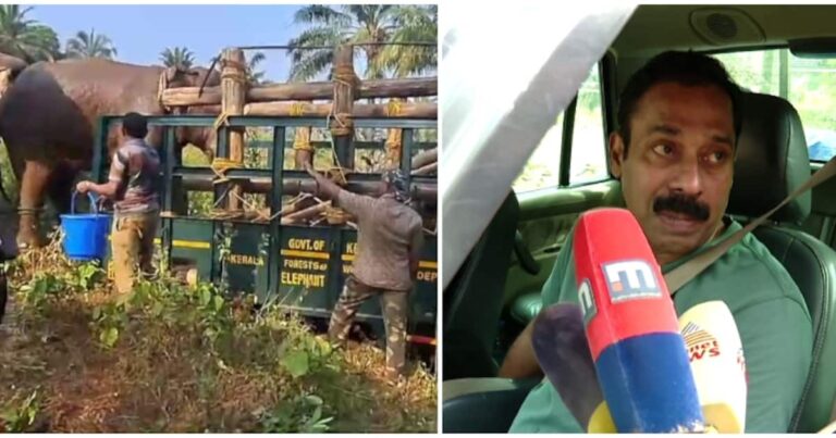 കാട്ടാനയുടെ മസ്തകത്തിലെ മുറിവിൽ പുഴു കയറി, ആന മയങ്ങി വീണത് ഗുണം ചെയ്തു: ഡോ. അരുൺ സക്കറിയ