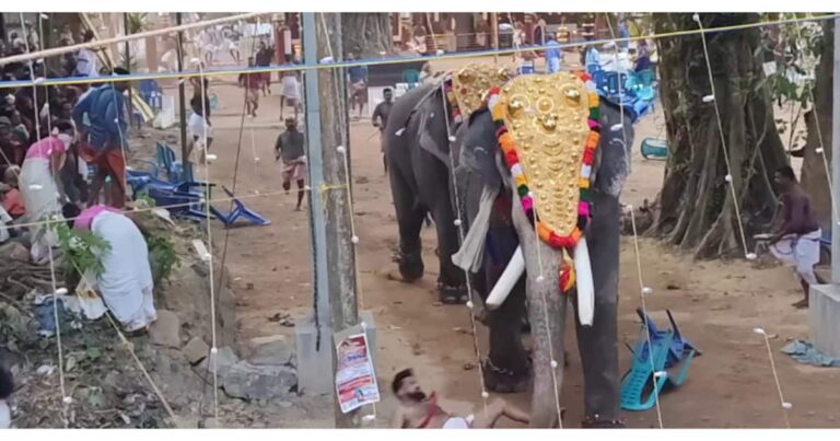 ‘ക്ഷേത്രമുറ്റത്ത് പടക്കങ്ങള്‍ പൊട്ടിച്ചിട്ടില്ല;  ക്ഷേത്രക്കുളവും കഴിഞ്ഞുള്ള ഒഴിഞ്ഞ സ്ഥലത്താണ് ശക്തികുറഞ്ഞ ഓലപ്പടക്കം പൊട്ടിച്ചത്’വിശദീകരണവുമായി ക്ഷേത്രം ഭാരവാഹികള്‍