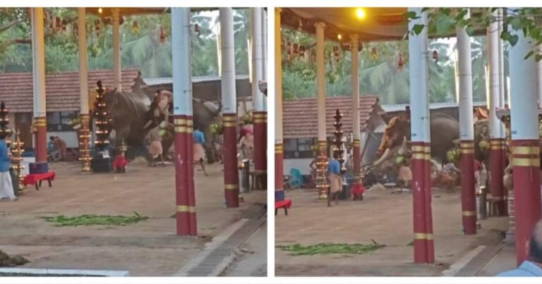 കോഴിക്കോട് ക്ഷേത്രോൽസവത്തിനിടെ ആനയിടഞ്ഞു; 2 മരണം, നിരവധി പേര്‍ക്ക് പരിക്ക്