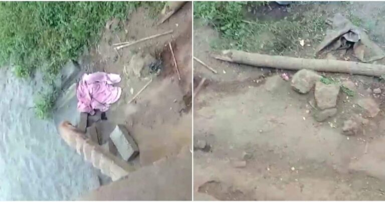 പാലക്കാട് അമ്മയെ ഹോളോബ്രിക്സ് കൊണ്ട് തലയ്ക്കടിച്ച് കൊന്നു; മകൻ കസ്റ്റഡിയില്‍