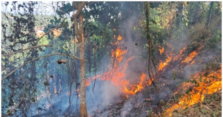 റബർതോട്ടത്തിൽ  തീപിടിത്തം;ബീഡിക്കുറ്റിയിൽ നിന്ന് പടർന്നതാവാമെന്ന് നിഗമനം