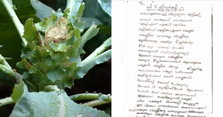 '18 ക്വാളിഫ്ലവർ മോഷ്ടിച്ചു, സിസിടിവി വേണം മന്ത്രിയപ്പൂപ്പാ' ;ഒടുവിൽ കുട്ടിക്കർഷകർക്ക്  മറുപടി നൽകി മന്ത്രി