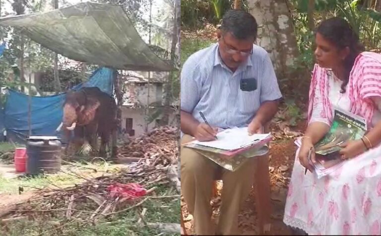 അനുമതിയില്ലാതെ ക്ഷേത്രത്തിൽ എഴുന്നള്ളിച്ചു: ആനയെ കസ്റ്റഡിയിലെടുത്ത് വനംവകുപ്പ്