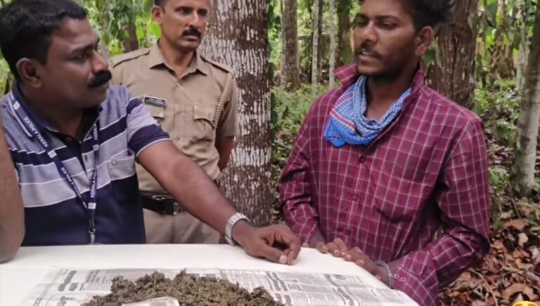 ‘കഞ്ചാവ് വലിച്ചിട്ട് ആർക്കും പ്രശ്നമില്ല’; സംശയമുണ്ടെങ്കിൽ കസ്റ്റമേഴ്‌സിനോട് ചോദിക്കാമെന്ന് പ്രതി; വൈറലായി വീഡിയോ