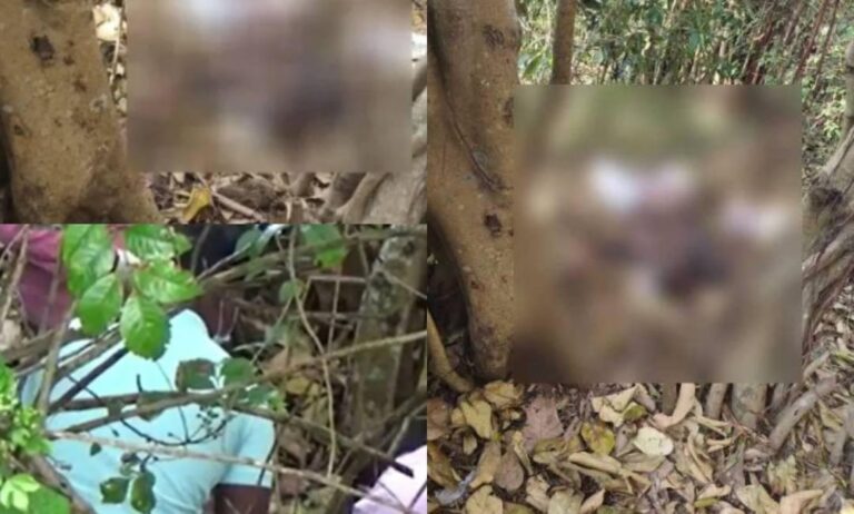ദിണ്ടിഗലിൽ സ്‌ഫോടനത്തിൽ കൊല്ലപ്പെട്ടത്  കോട്ടയം സ്വദേശി ; മൃതദേഹത്തിന് 4 ദിവസം പഴക്കം