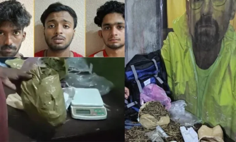 എട്ടോളം പൂര്‍വ വിദ്യാര്‍ത്ഥികള്‍ കോളജില്‍ കഞ്ചാവെത്തിച്ചു; പണമിടപാട് നടത്തിയത് മൂന്നാം വര്‍ഷ വിദ്യാര്‍ഥി, കൊല്ലം സ്വദേശിക്കായി തെരച്ചില്‍; കളമശേരി പോളിടെക്‌നിക്ക് കഞ്ചാവ് കേസില്‍ അന്വേഷണം ഊർജ്ജിതമാക്കി പോലീസ്