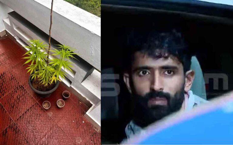 വീട്ടില്‍ കഞ്ചാവ് ചെടികൾ വളര്‍ത്തി; തിരുവനന്തപുരത്ത് കേന്ദ്രസര്‍ക്കാര്‍ ഉദ്യോഗസ്ഥന്‍ അറസ്റ്റില്‍