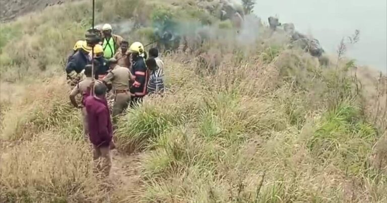 വിനോദയാത്ര പോയ മലയാളി സംഘത്തിന് കടന്നലാക്രമണം, ഒരാൾ മരിച്ചു, 2 പേര്‍ക്ക് പരിക്ക്