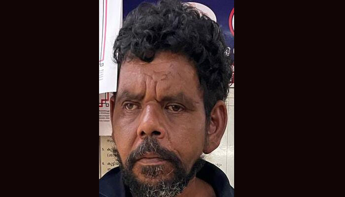 പതിനേഴുകാരിക്കുനേരെ ലൈംഗികാതിക്രമം; സ്ഥിരം ശല്യക്കാരനായ പ്രതി പിടിയില്‍