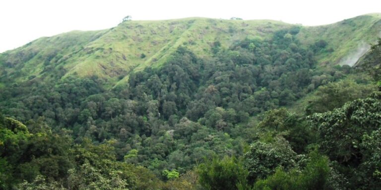 വനത്തില്‍ കുടുങ്ങിയ ആളെ അഞ്ച് ദിവസത്തിന് ശേഷം അവശ നിലയില്‍ കണ്ടെത്തി