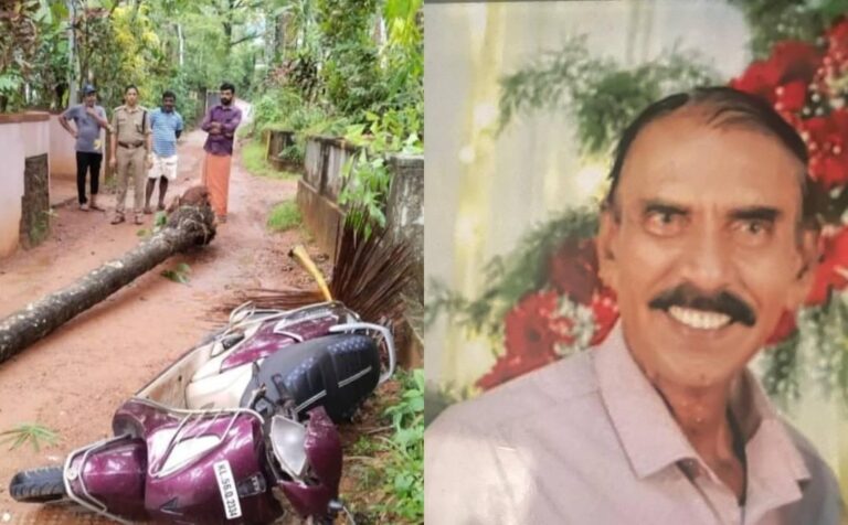 ഓടിക്കൊണ്ടിരുന്ന സ്‌കൂട്ടറിന് മുകളിലേക്ക് തെങ്ങുവീണു; യാത്രക്കാരന് ദാരുണാന്ത്യം