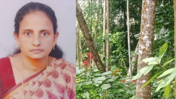 പൊട്ടിവീണ വൈദ്യുതക്കമ്പിയിൽനിന്ന് ഷോക്കേറ്റ് വീട്ടമ്മ മരിച്ചു; ഭർത്താവ് പരിക്കുകളോടെ രക്ഷപ്പെട്ടു
