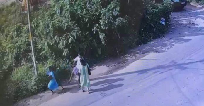 മദ്യലഹരിയിൽ നടുറോഡിൽ സ്ത്രീയെ ചവിട്ടി വീഴ്ത്തി, ഭീഷണിയും തർക്കവും, യുവാവിനെതിരെ കേസ്–വിഡിയോ