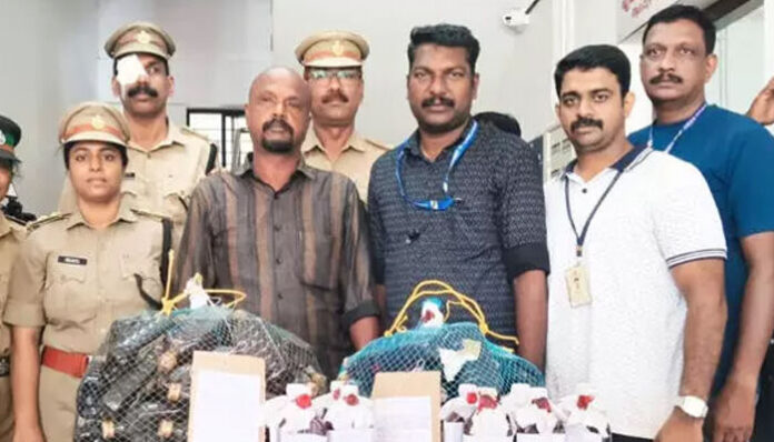 അനധികൃതമായി മദ്യ വിൽപ്പന; 101 കുപ്പി മദ്യവുമായി മധ്യവയസ്കൻ അറസ്റ്റിൽ; സംഭവം ആലപ്പുഴയിൽ