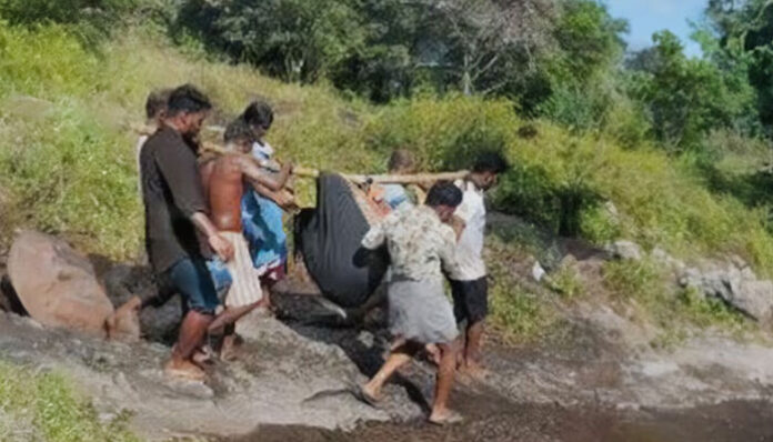 മലയിൽ നിന്ന് പാറക്കല്ല് അടർന്ന് വീണു; കൃഷിയിടത്തിൽ ജോലി ചെയ്തുകൊണ്ടിരുന്ന സ്ത്രീകൾക്ക് പരിക്ക്