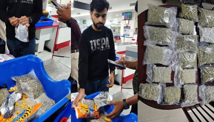 കരിപ്പൂര്‍ വിമാനത്താവളത്തില്‍ വന്‍ കഞ്ചാവ് വേട്ട; 3.98 കോടി രൂപ വിലവരുന്ന ഹൈബ്രിഡ് കഞ്ചാവ് പിടികൂടി