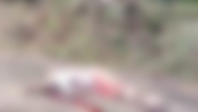 പാലക്കാട് യുവാക്കൾ മരിച്ച നിലയില്‍, സമീപത്ത് നാടന്‍ തോക്ക്; കൊലപാതകം സംശയിച്ച് പൊലീസ്