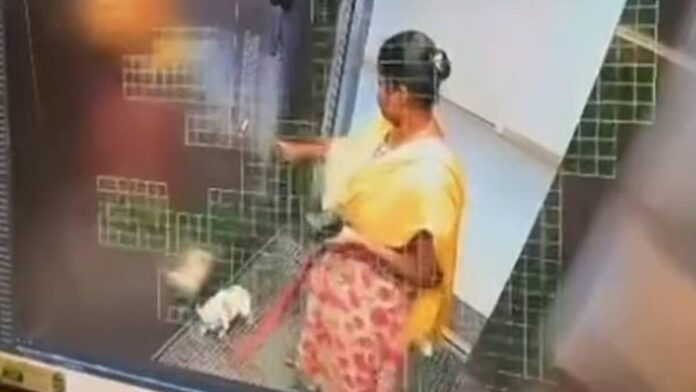 പരിചരണത്തിന് ഏൽപ്പിച്ച നായയെ ലിഫ്റ്റിനുള്ളിൽ അടിച്ചുകൊന്നു; യുവതി അറസ്റ്റിൽ പരിചരണത്തിന് ഏൽപ്പിച്ച നായയെ ലിഫ്റ്റിനുള്ളിൽ അടിച്ചുകൊന്നു; യുവതി അറസ്റ്റിൽ