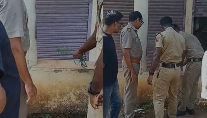 പട്ടാമ്പി ബ്ലോക്ക് പഞ്ചായത്ത് വളപ്പിൽ കണ്ടെത്തിയത് 29 സെന്റീമീറ്റർ നീളമുള്ള കഞ്ചാവ് ചെടി; പരിശോധന നടത്തി എക്സൈസ്
