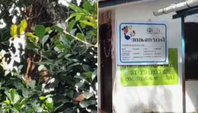 അങ്കണവാടിയിൽ ഭക്ഷണം കഴിക്കവെ കുട്ടികൾക്ക് നേരെ പാഞ്ഞടുത്ത് കടന്നൽ കൂട്ടം; ആക്രമണത്തിൽ 8 പേർക്ക് പരിക്ക്; സംഭവം തൃശൂരിൽ
