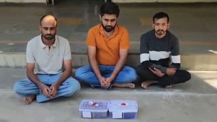 പോലീസിന്റെ കണ്ണുവെട്ടിക്കാൻ ആഡംബര കാറിൽ ഹൈബ്രിഡ് കഞ്ചാവുകടത്തൽ; മൂന്നുപേർ പിടിയിൽ