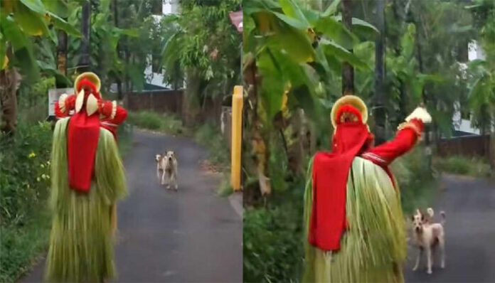 തെയ്യക്കോലത്തിന് നേരെ കുരച്ചുചാടി തെരുവുനായ്ക്കള്‍; ചിലമ്പൊലിയും അട്ടഹാസവുമായി വിരട്ടിയോടിച്ച് തെയ്യക്കോലം