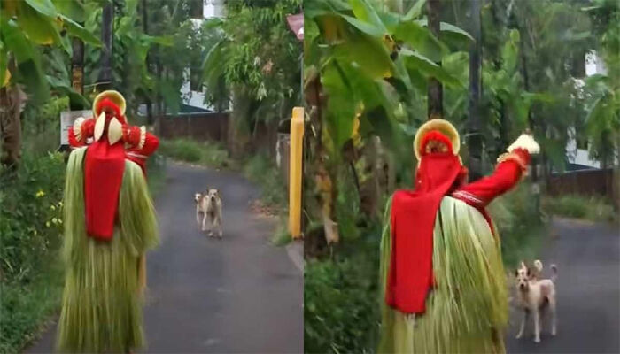 തെയ്യക്കോലത്തിന് നേരെ കുരച്ചുചാടി തെരുവുനായ്ക്കള്‍; ചിലമ്പൊലിയും അട്ടഹാസവുമായി വിരട്ടിയോടിച്ച് തെയ്യക്കോലം
