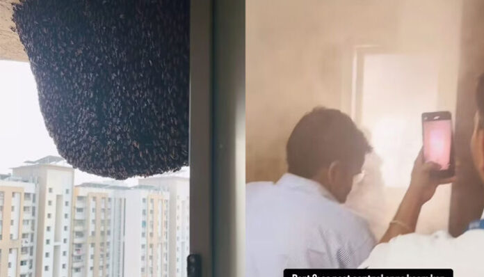 'ഇതൊന്നും അത്ര നല്ലതല്ല കേട്ടോ..'; കെട്ടിടത്തിന്റെ ഏറ്റവും ഉയരത്തിൽ പേടിപ്പെടുത്തുന്ന രീതിയിൽ 'തേനീച്ചക്കൂട്'; ഇതൊന്നും കൂസാതെ ബാത്‍റൂം ജനലിലൂടെ യുവതി ചെയ്തത്