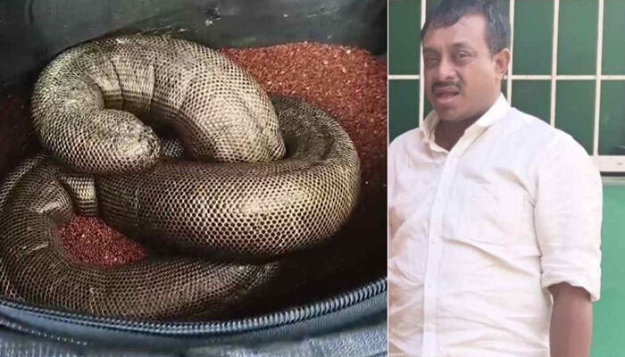 ഇരുതലമൂരിയെ 50 ലക്ഷം രൂപയ്ക്ക വില്‍ക്കാന്‍ ശ്രമം; ആവശ്യക്കാരെന്ന വ്യാജേന എത്തി തട്ടിപ്പു സംഘത്തെ കുടുക്കി വനംവകുപ്പ് അധികൃതര്‍:  ഏഴംഗ സംഘം പിടിയില്‍