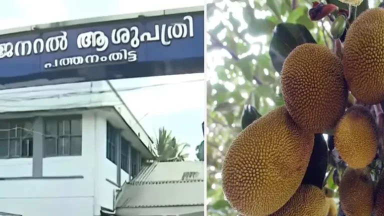 മരുന്നിന് ക്യൂ നിന്ന രോഗിയുടെ തലയിൽ ചക്കവീണു; സംഭവം പത്തനംതിട്ട ജനറൽ ആശുപത്രിയിൽ